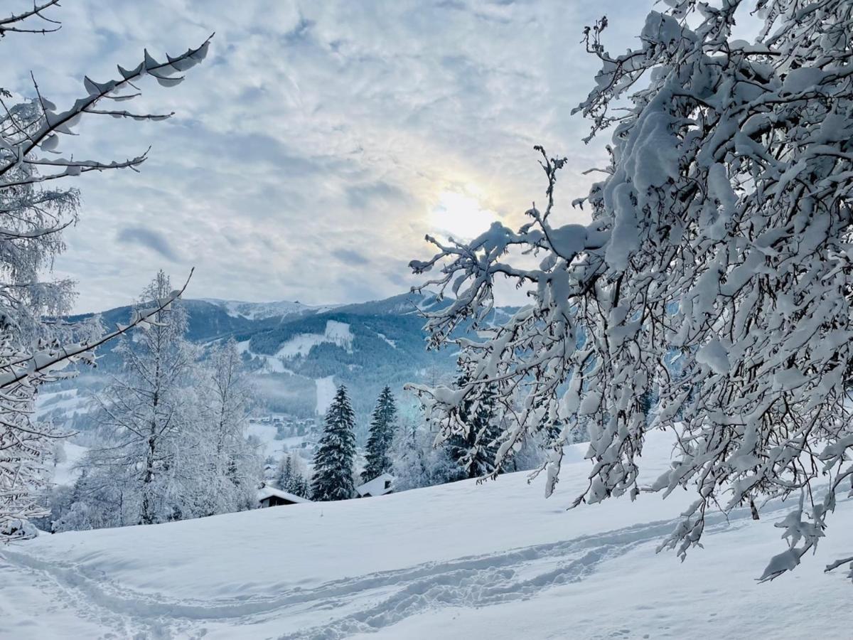 Appartamento Alpenliebe Bad Kleinkirchheim Esterno foto