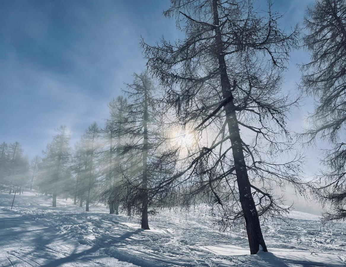 Appartamento Alpenliebe Bad Kleinkirchheim Esterno foto
